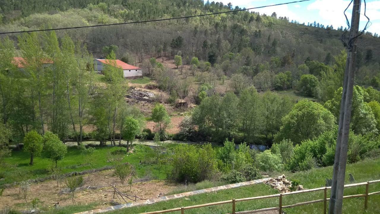 Serapicos House Braganca Bagian luar foto