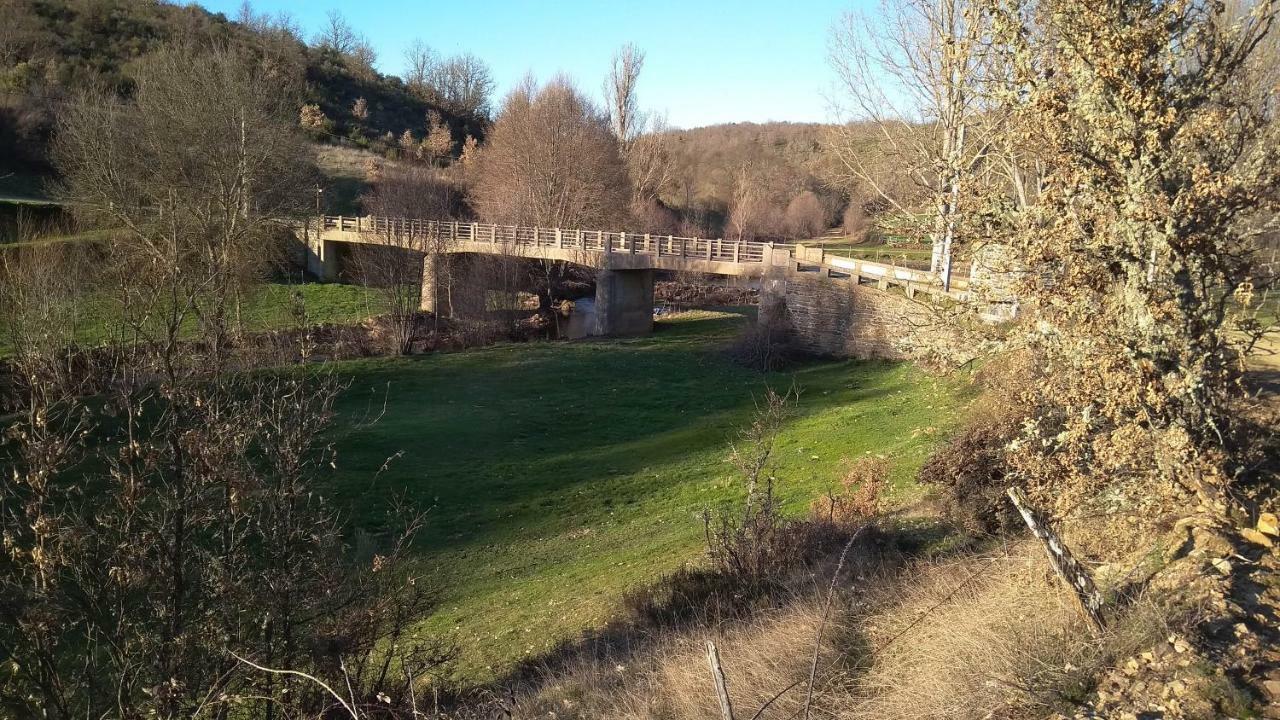 Serapicos House Braganca Bagian luar foto